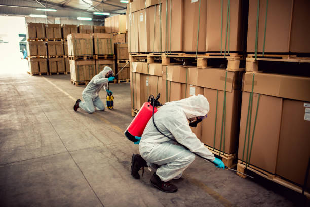 Best Pest Control Near Me in Kingston, PA