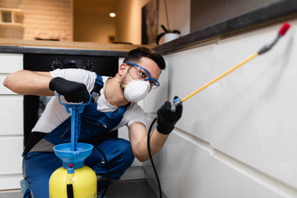 Best Affordable Pest Control Services  in Kingston, PA