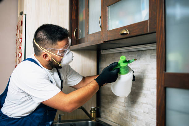 Best Wasp Removal Services  in Kingston, PA