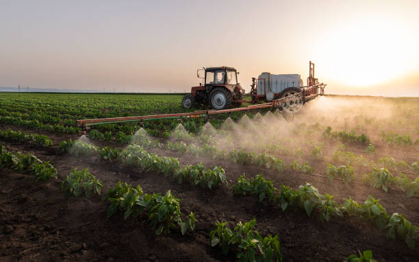 Pest Control Cost in Kingston, PA
