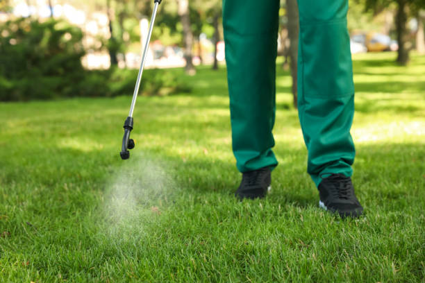 Best Mosquito Control Services  in Kingston, PA