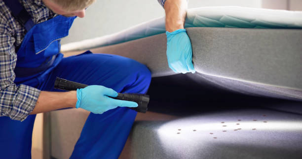 Best Termite Control Services  in Kingston, PA