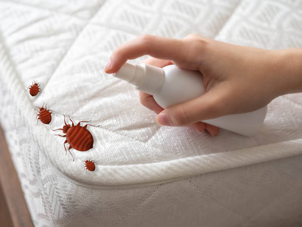 Best Residential Pest Control  in Kingston, PA