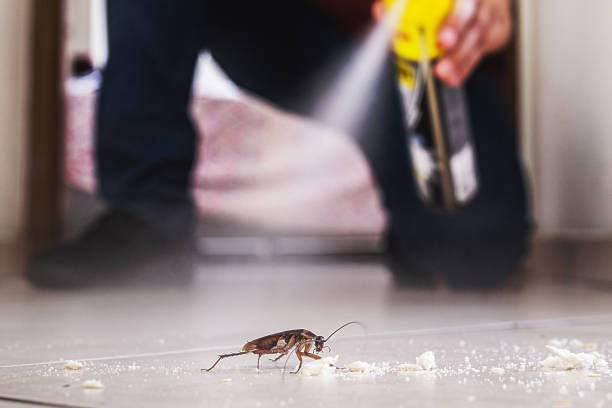 Best Pest Prevention Services  in Kingston, PA