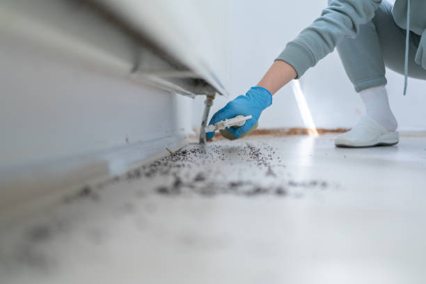 Best Commercial Pest Control Services  in Kingston, PA