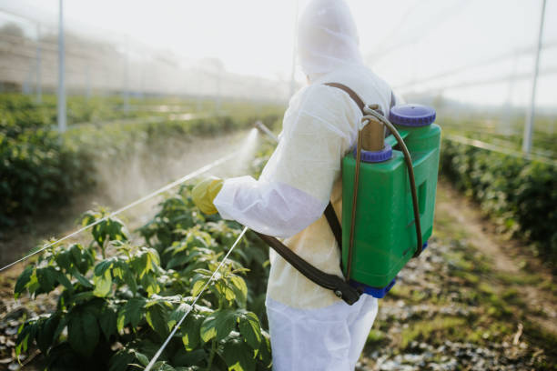 Flea Control Services in Kingston, PA